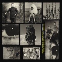 Виниловая пластинка Foo Fighters / Making A Fire (Mark Ronson Re-Version) / Chasing Birds (Preservation Hall Jazz Band Re-Version) (1LP)